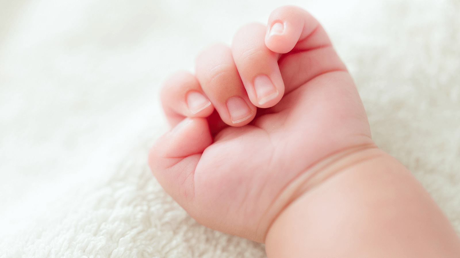 baby-sign